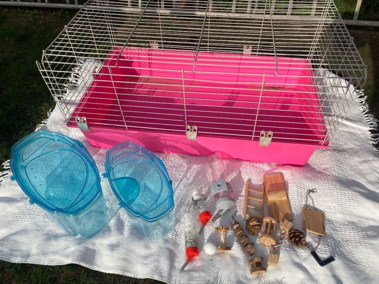 Guinea Pig Cage + Accessories 
