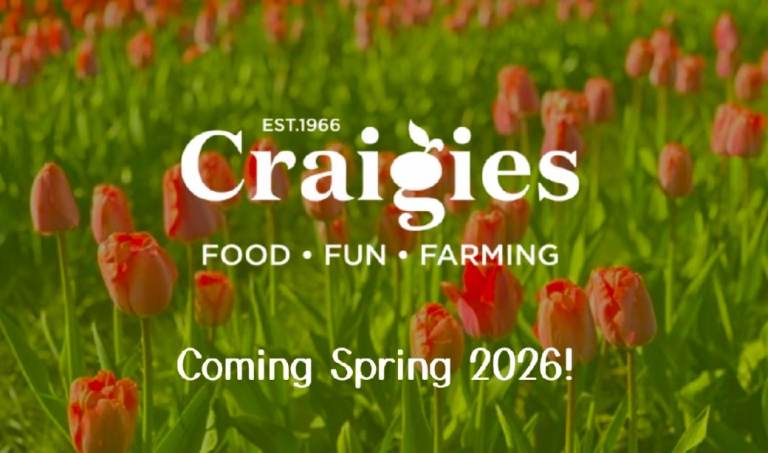 Looking for ride share 17/04 - Glasgow to Edinburgh