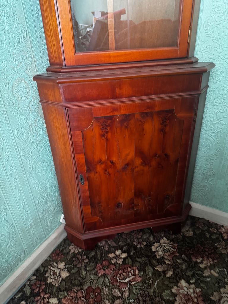 FREE corner unit storage x 2