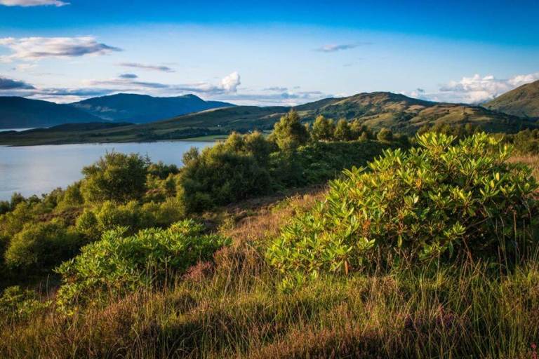 land plot Scotland by sea go fishing use boat other plots by residential property