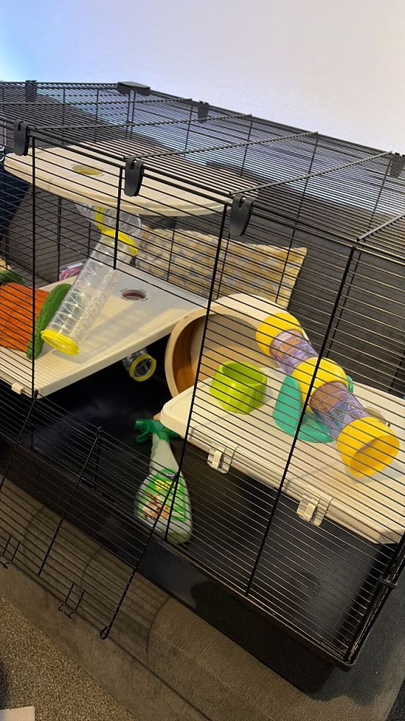 Hamster cage @ ball 
