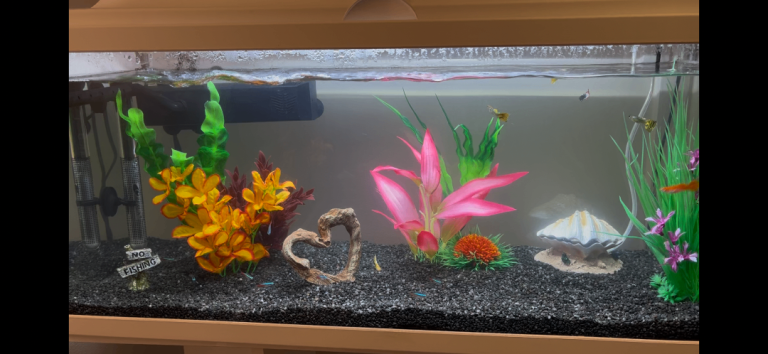 Large 80L fish tank aquarium with stand and all accessories 