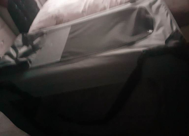 Dog bed/dog carrier