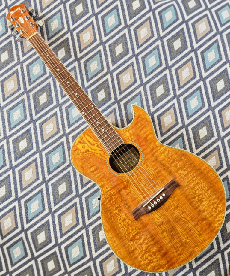 Ibanez Acoustic-Electric Cutaway, Exotic Woods Edition Guitar