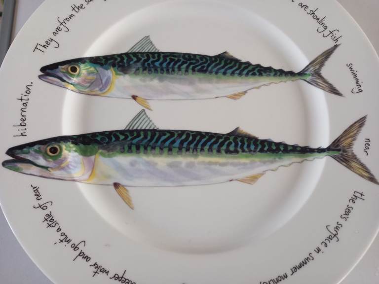 Jersey pottery mackerel plate