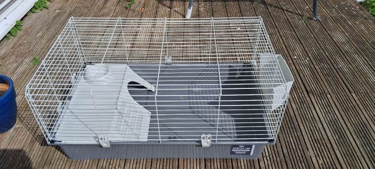 Guinea Pig Cage
