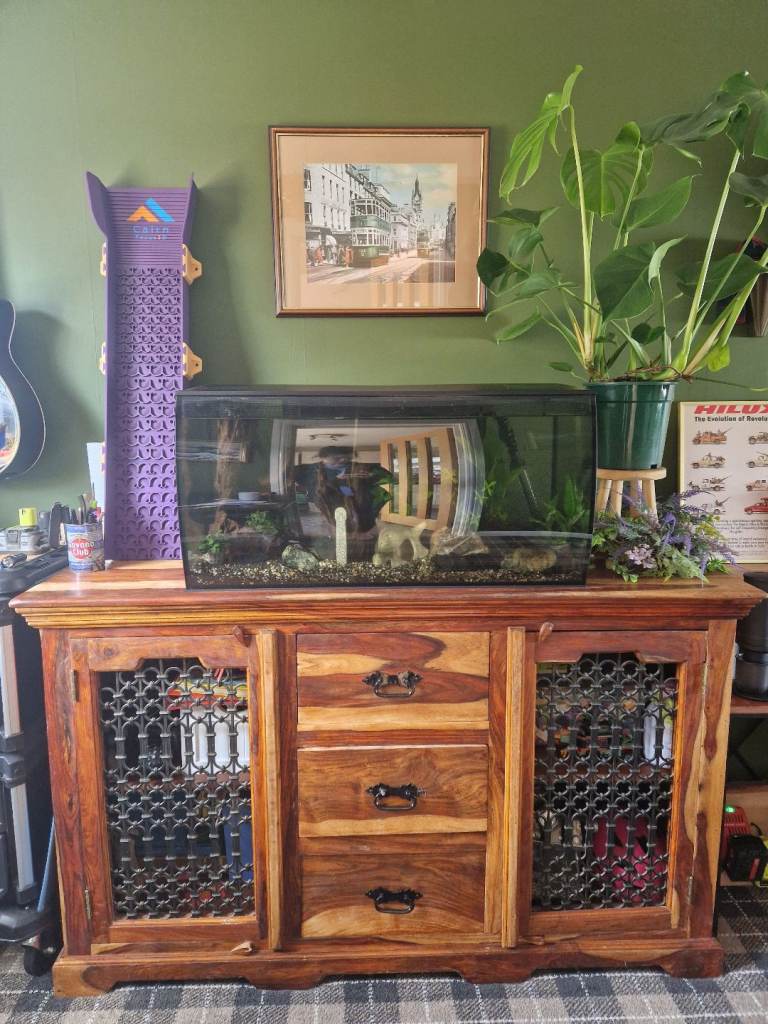 Fluval Curved Fishtank