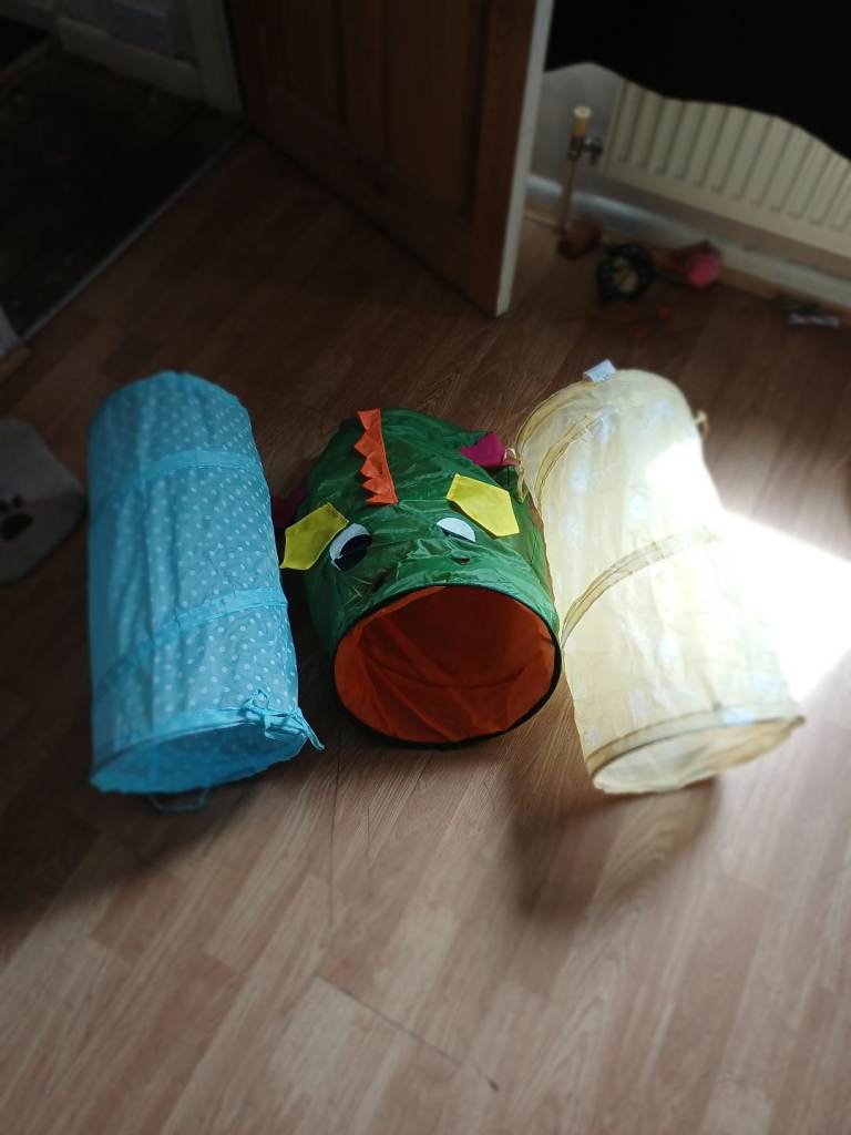 CAT TUNNELS