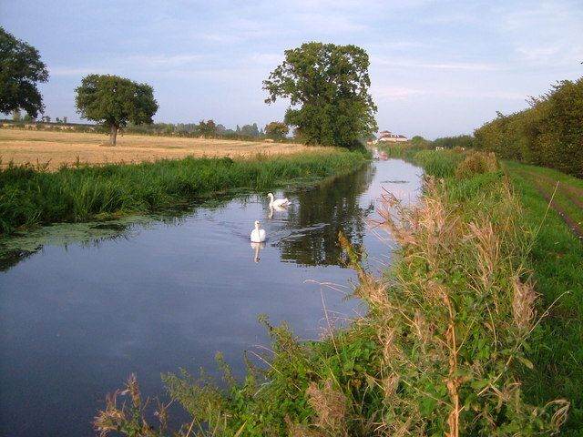Static Caravan To Rent 