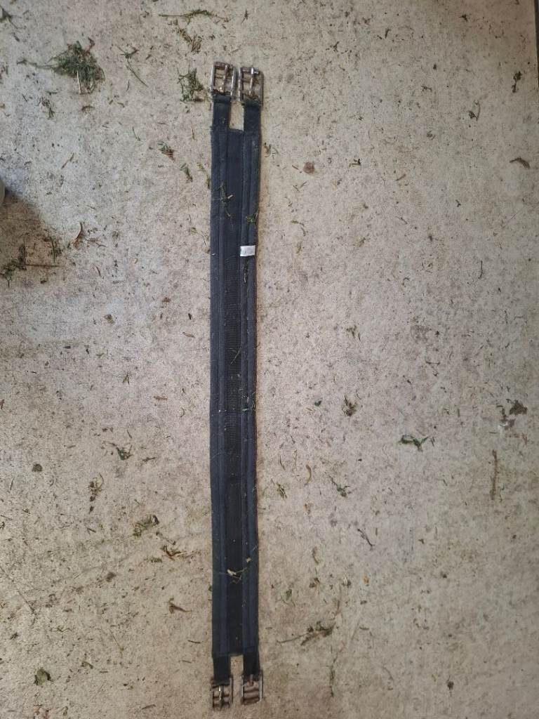 Bucus horse of Ireland girth 