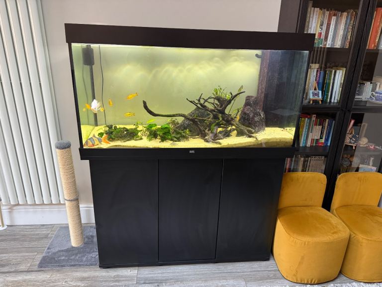 Juwel Rio fishtank with fish - Free. 