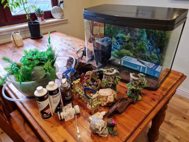 Pets At Home Love Fish Panorama Tank (64L) and accessories