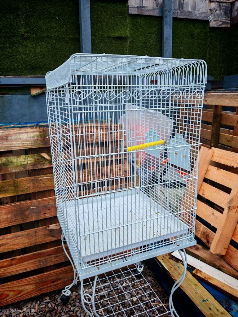 Bird cage 