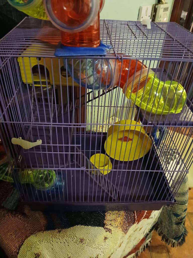Hamster cage