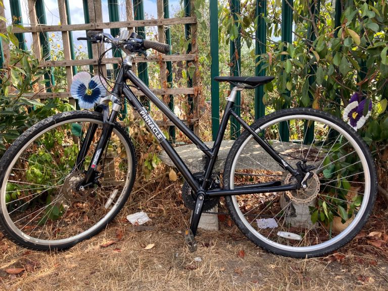 Pinnicle hybrid ladies bicycle large 