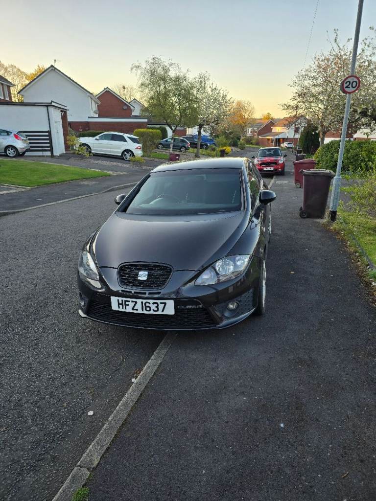 2010 Seat Leon cupra 