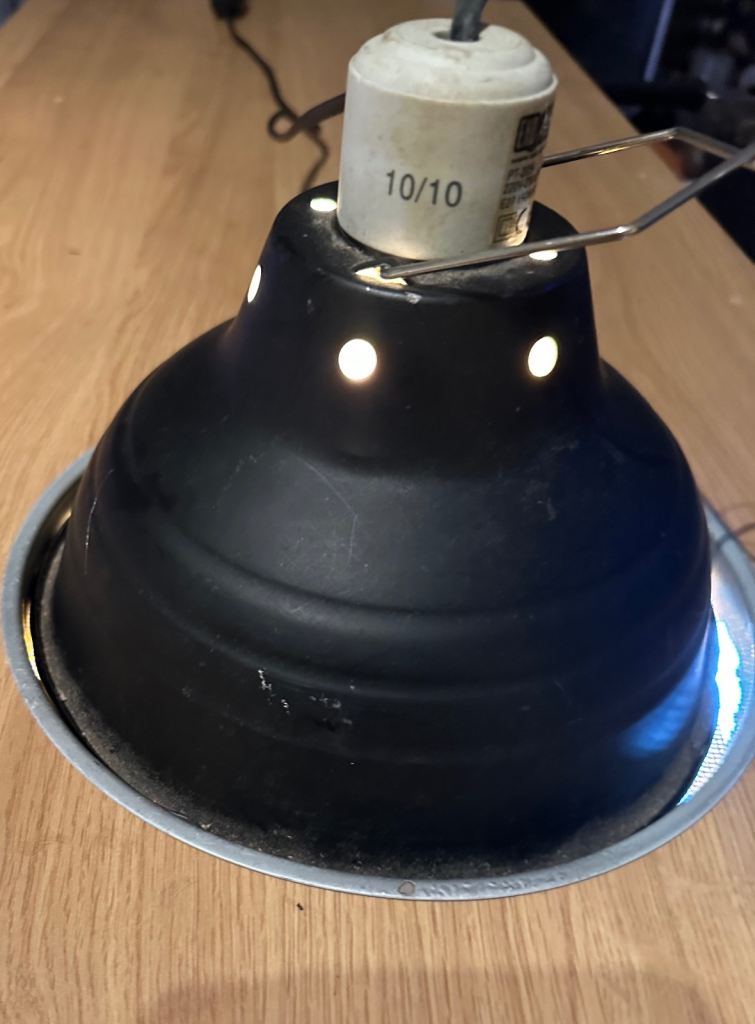 image for 4ft vivarium 