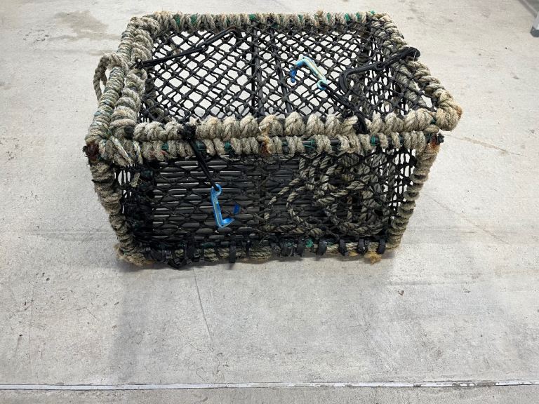 Gael force shellfish keeps 