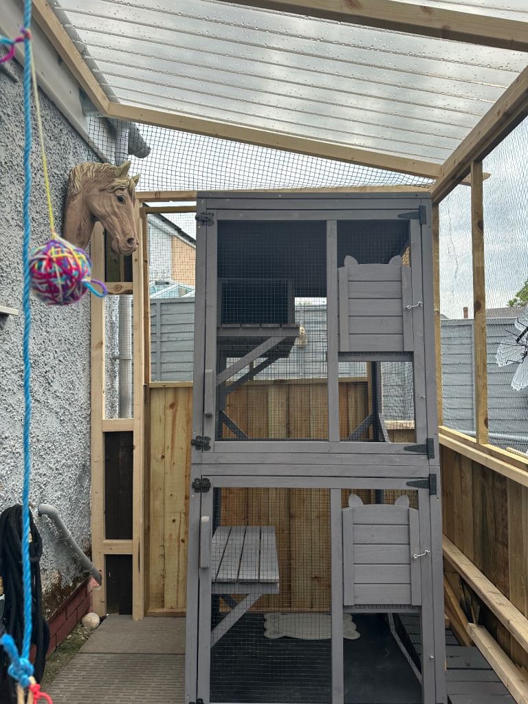 Catio for cats