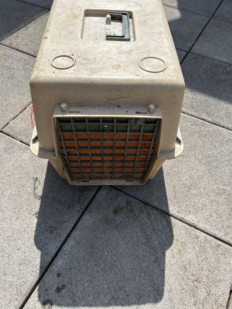 Sturdy Beige Pet Carrier / Travel Crate – Fair Condition