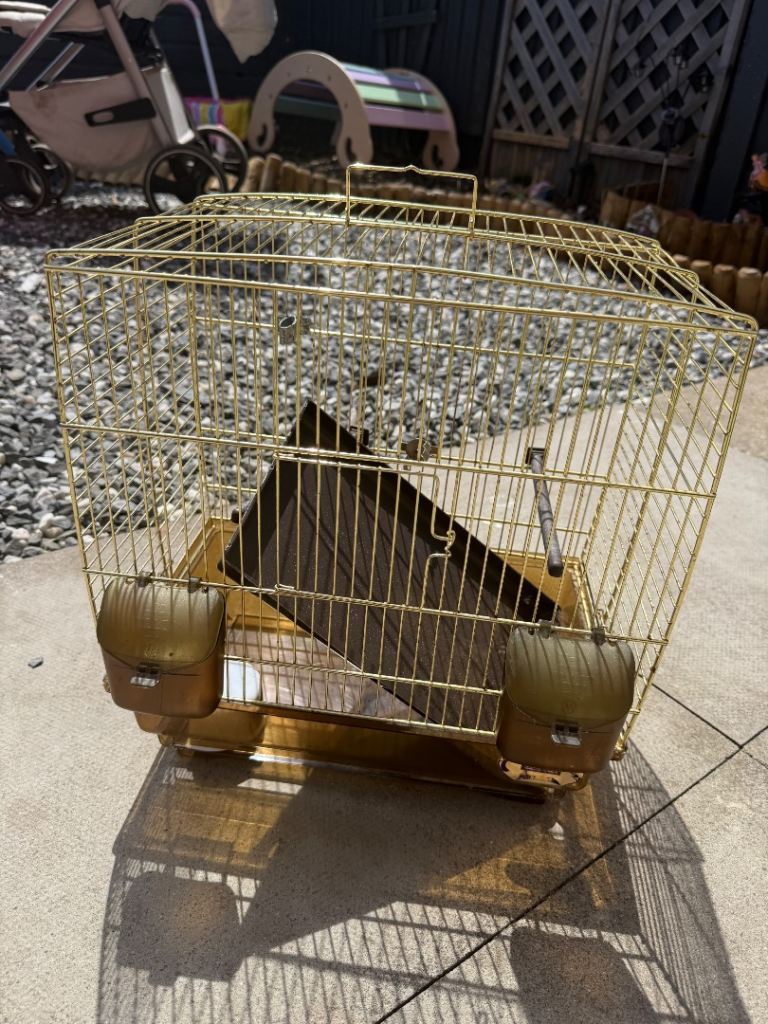 Metal birdcage 