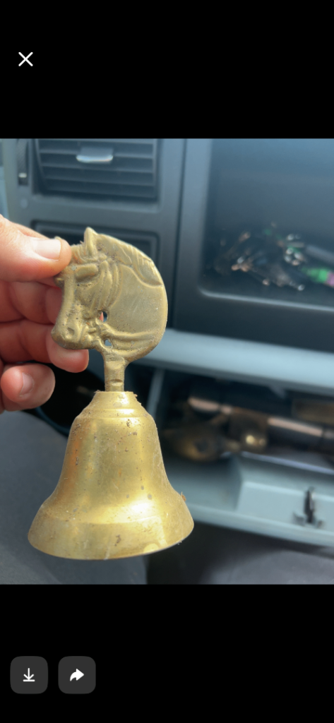 Vintage brass horse head