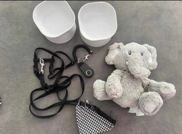 Pet Accessories Bundle 