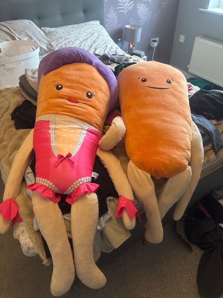 FREE Kevin and Katie the carrot teddies
