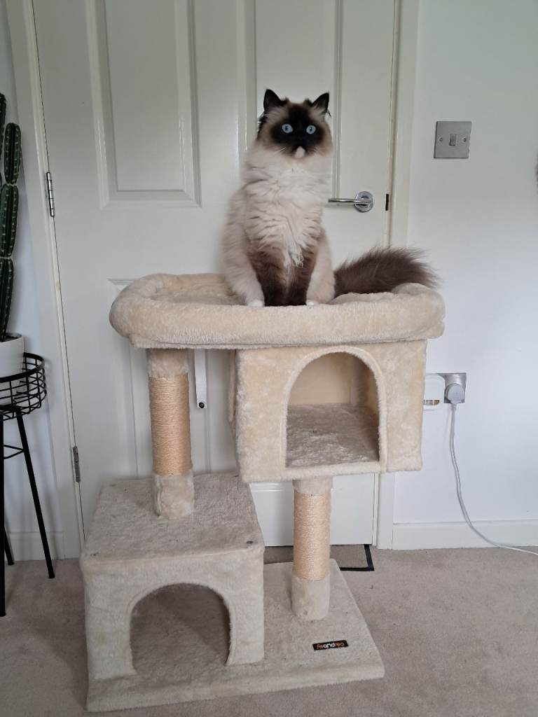 Beige tiered cat tree
