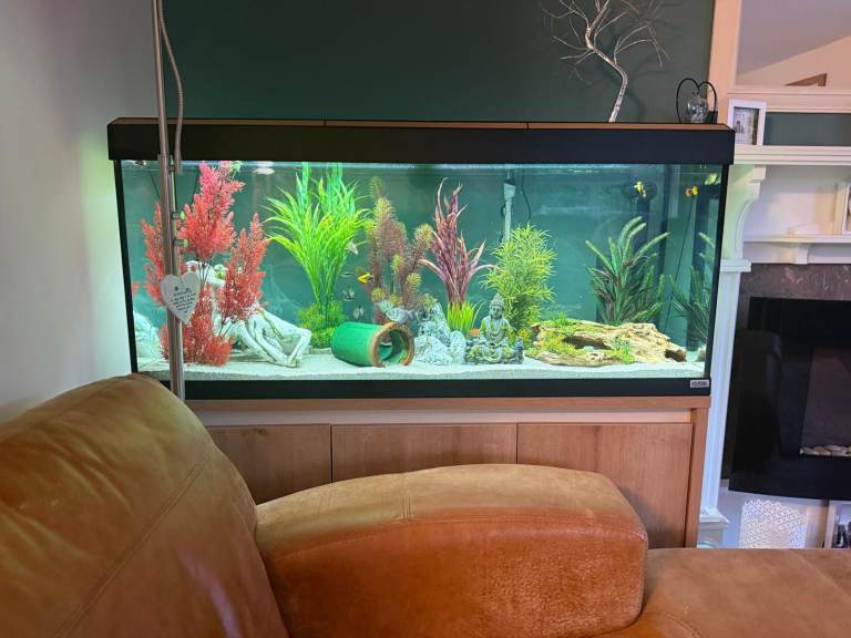 Large Glass Fish Tank with Stand and Accessories