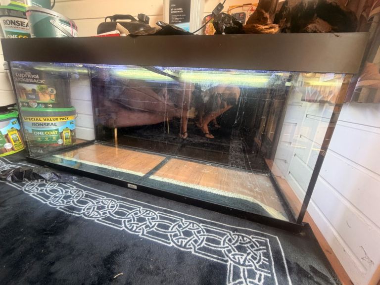 Large Glass Aquarium Fish Tank with Lid 4ft