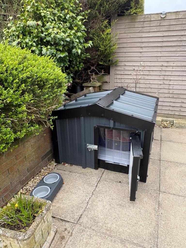 Insulated dog kennel