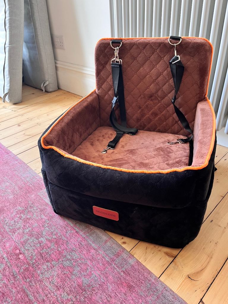Doggie car seat 