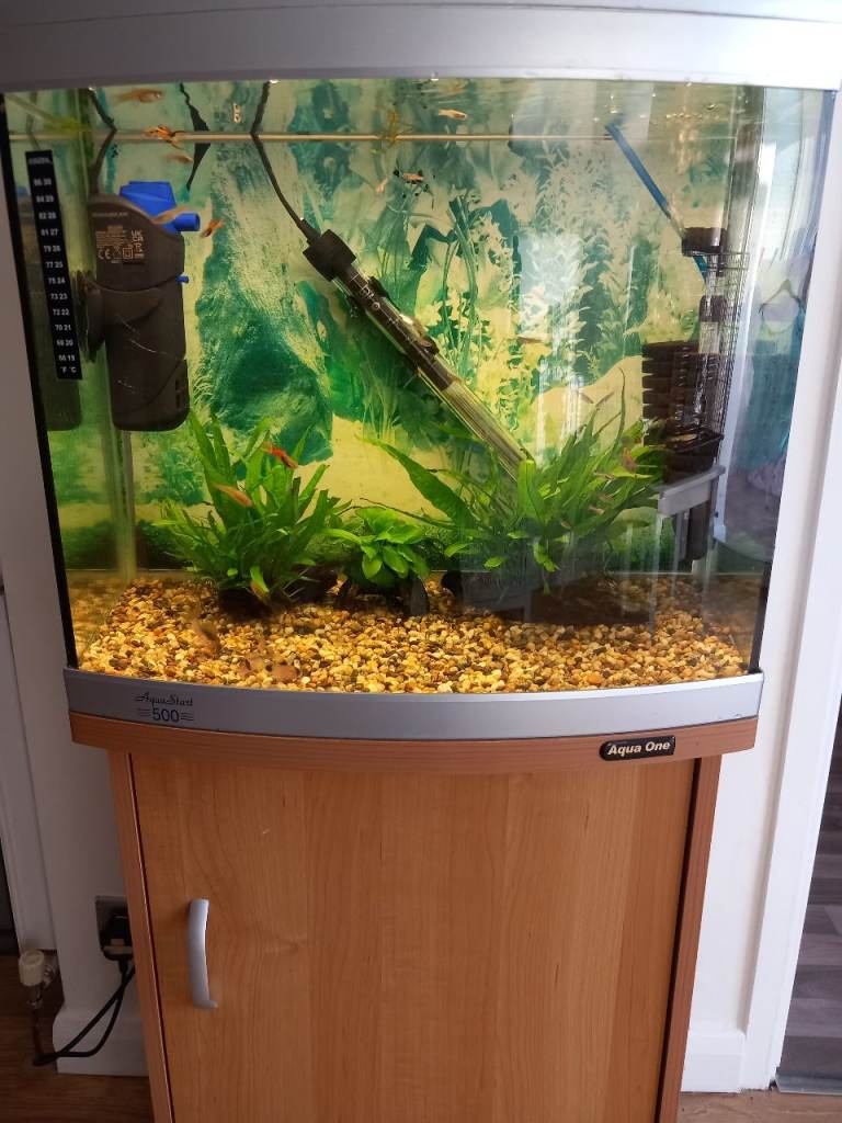 Looking for fish tank and stand 