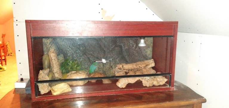 Vivarium 