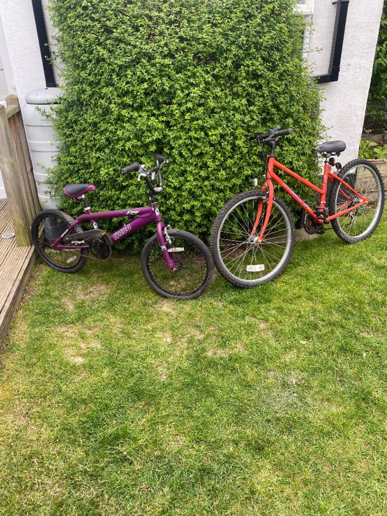 Two Bikes - Adult and Child’s 