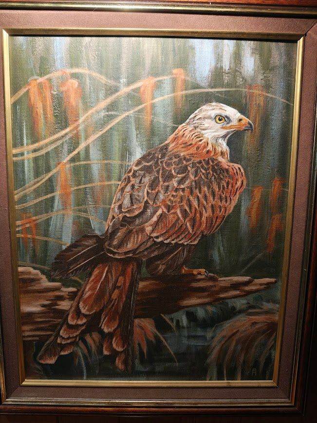 Original oil painting Red Kite by local artist Ann Dunlop