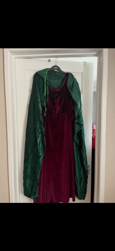 WINIFRED HOCUS POCUS COSTUME 