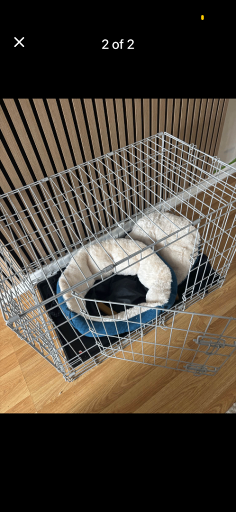 Dog crate 