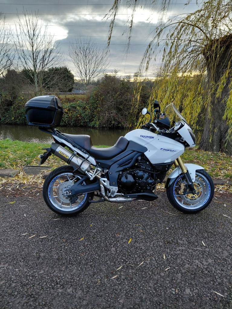 triumph tiger