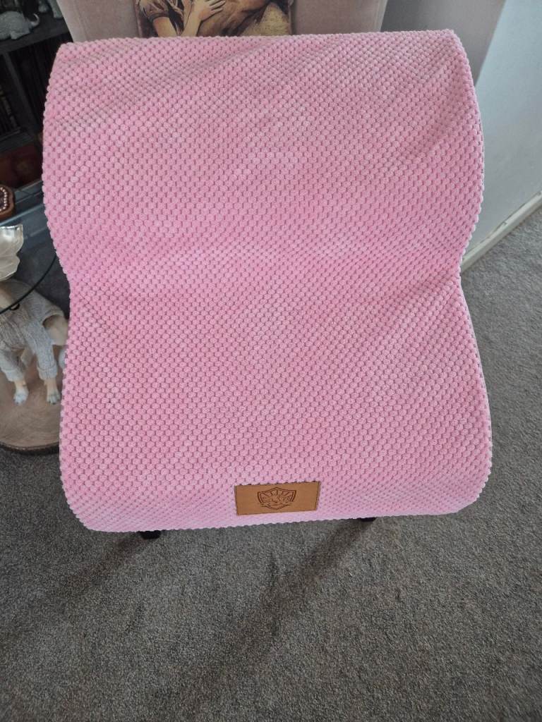 Pink Pet Steps