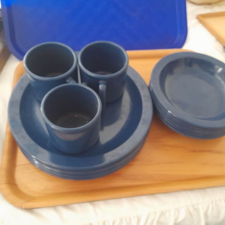 Picnic plates x5 bowlsx6 cups x3 daleware