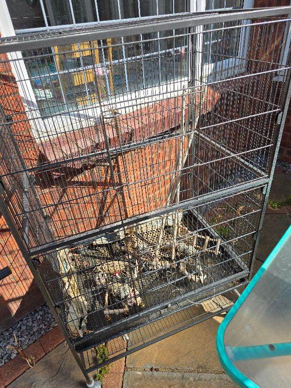 Parrot cage 