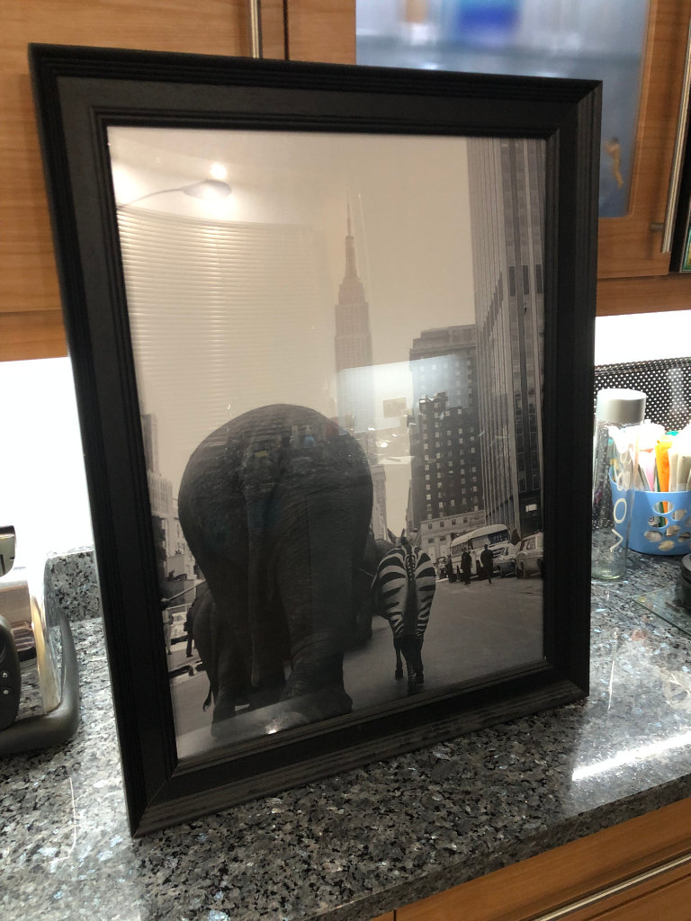 Framed New York Street Elephant & Zebra Art Picture (70x54cm)
