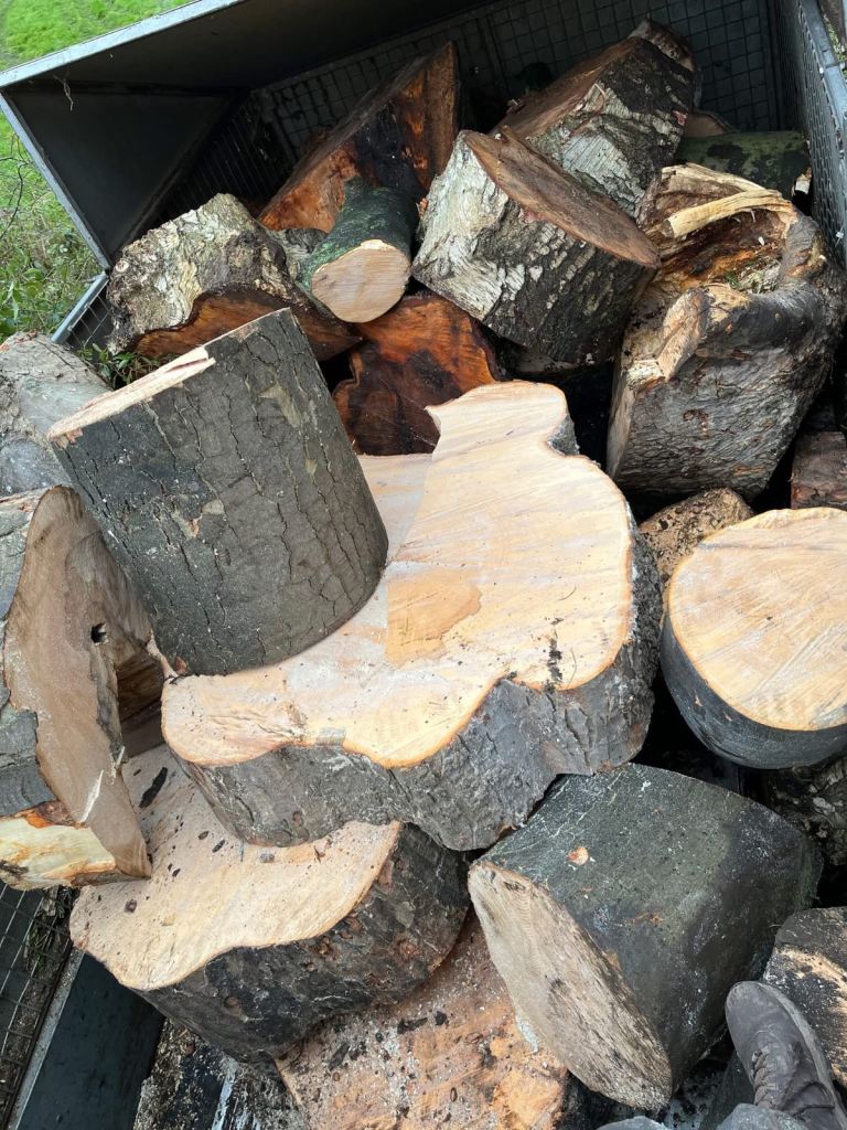 Tree cutting and removal and hedges and grass 