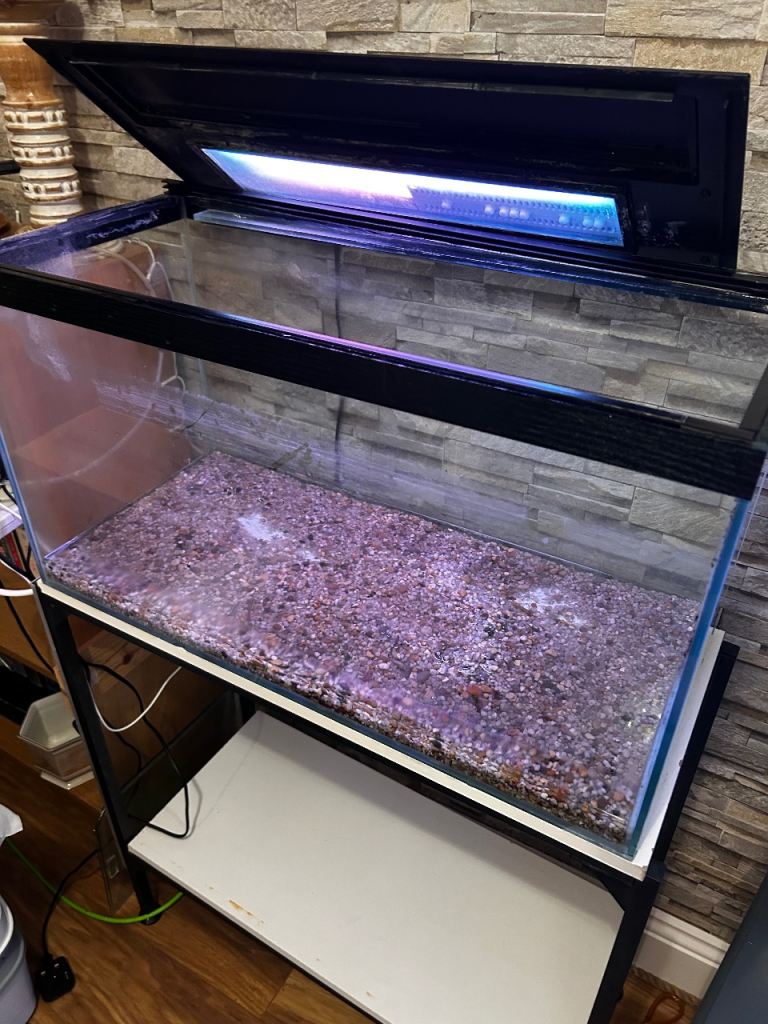 Fish Tank & Stand 