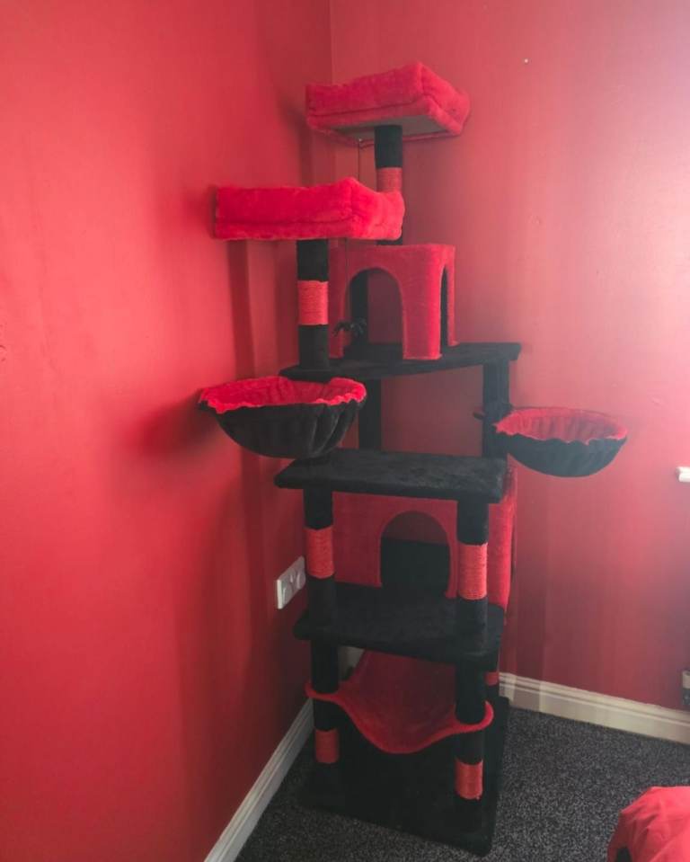 Cat Tree