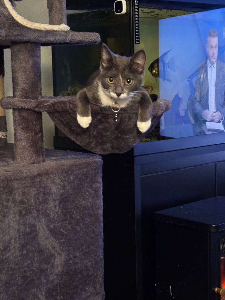 Sisters back up for sale due to timewasters 