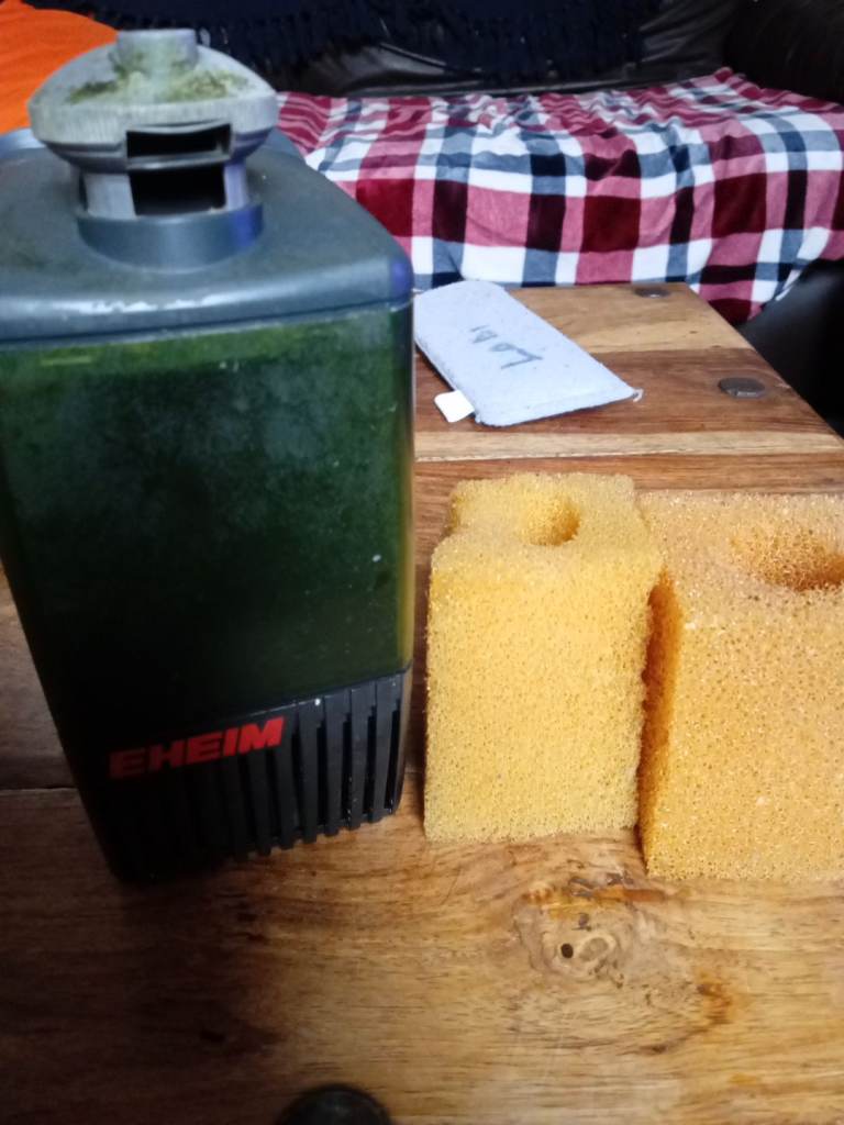 Filter with two sponges