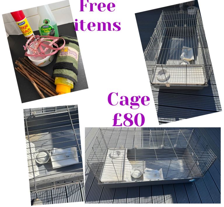 Rabbit cage and other free items 